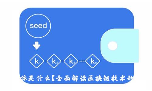 区块链的载体是什么？全面解读区块链技术的基础与应用