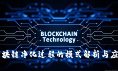 区块链净化过程的模式解析与应用