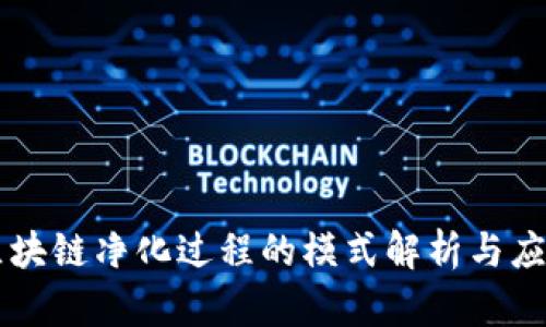 区块链净化过程的模式解析与应用