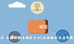 ## 区块链域名指是什么？全面解析与应用前景
