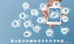   国内最大区块链项目介绍与分析