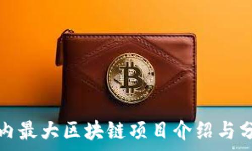   
国内最大区块链项目介绍与分析