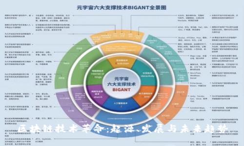 区块链技术革命：起源、发展与未来趋势