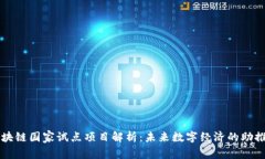 区块链国家试点项目解析：未来数字经济的助推