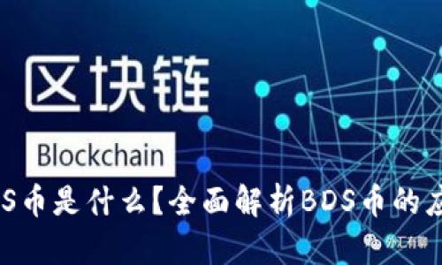 区块链BDS币是什么？全面解析BDS币的应用与发展