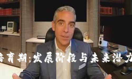  区块链培育期：发展阶段与未来潜力全面解析