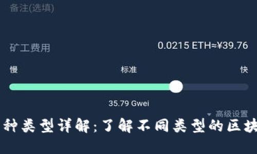 区块链的五种类型详解：了解不同类型的区块链及其应用