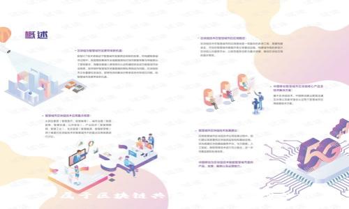 不属于区块链共识机制的类型分析