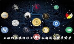 互联网区块链项目的全面解析与发展前景