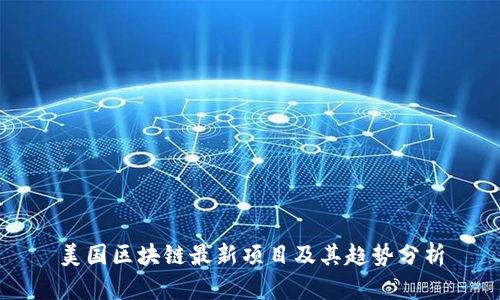 美国区块链最新项目及其趋势分析