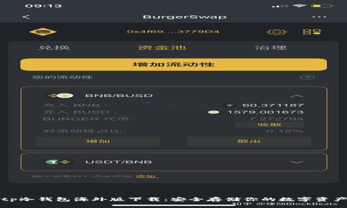 tp冷钱包海外版下载：安全存储你的数字资产