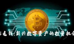 区块链产物5毛钱：新兴数字资产的投资机会与风