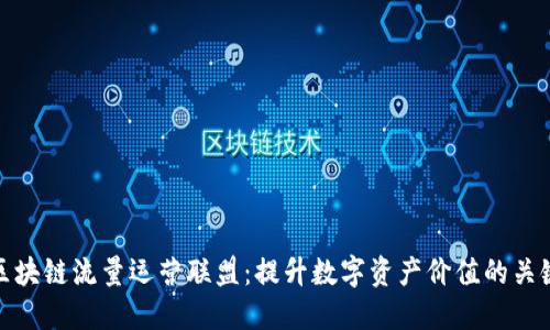 区块链流量运营联盟：提升数字资产价值的关键