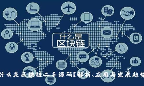 什么是区块链二手源码？解析、应用与发展趋势