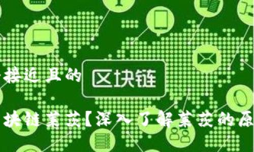 思考一个接近且的

什么是区块链莱茨？深入了解莱茨的原理与应用