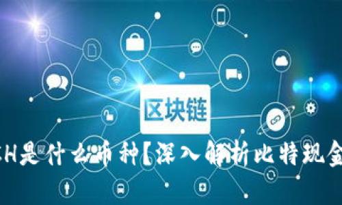 区块链BCH是什么币种？深入解析比特现金及其应用