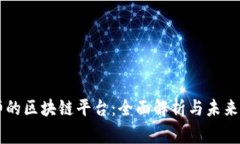 帝师的区块链平台：全面解析与未来展望