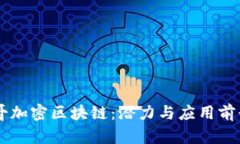 墨西哥加密区块链：潜力与应用前景解析