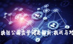 区块链公司监管问题解析：挑战与对策