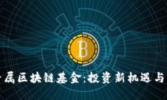 : 时代专属区块链基金：投资新机遇与未来展望