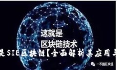 什么是SIE区块链？全面解析其应用与影响