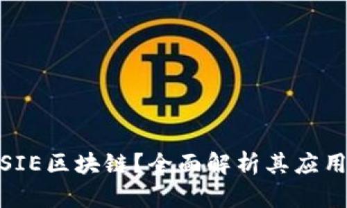 什么是SIE区块链？全面解析其应用与影响