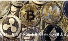 区块链SoL是什么币？全面解析Solana的特点与应用