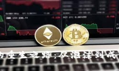 区块链的重生之路：从泡沫到成熟的未来