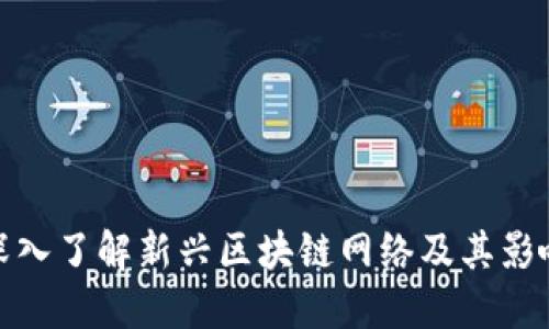 深入了解新兴区块链网络及其影响