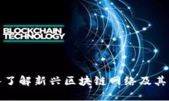 深入了解新兴区块链网络及其影响