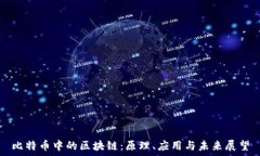  比特币中的区块链：原理、应用与未来展望