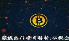 区块链领域热门项目解析：从概念到应用