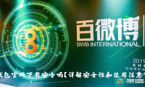 TP钱包官网下载安全吗？详解安全性和使用注意事项