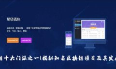 区块链十大门派之一！揭秘知名区块链项目及其