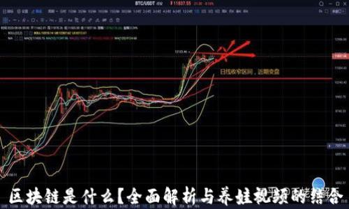 
区块链是什么？全面解析与养娃视频的结合