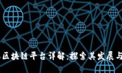 日本区块链平台详解：探索其发展与应用