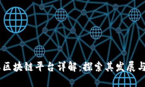 日本区块链平台详解：探索其发展与应用