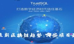 2023年最新区块链趋势：哪些项目最受欢迎？