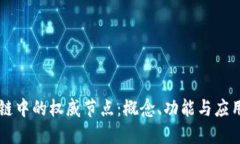 区块链中的权威节点：概念、功能与应用探索