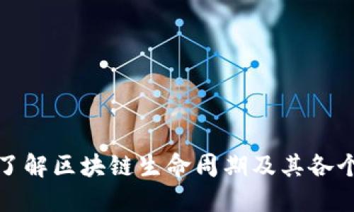 深入了解区块链生命周期及其各个阶段
