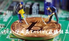 深入探讨Instex：什么是Instex区块链及其应用前景