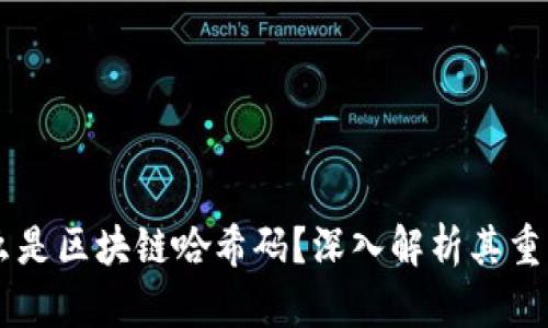 ### 什么是区块链哈希码？深入解析其重要性与应用