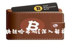 ### 什么是区块链哈希码？深入解析其重要性与应