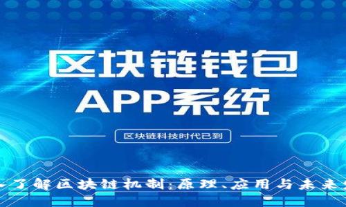 深入了解区块链机制：原理、应用与未来发展