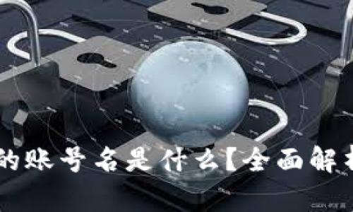 区块链的账号名是什么？全面解析与应用
