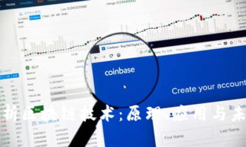 全面解析区块链技术：原理、应用与未来发展