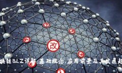 区块链BLZ详解：基础概念、应用前景及其发展趋