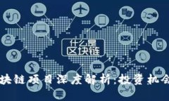 百万富翁区块链项目深度解析：投资机会与风险