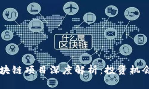 百万富翁区块链项目深度解析：投资机会与风险考量