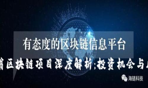 百万富翁区块链项目深度解析：投资机会与风险考量